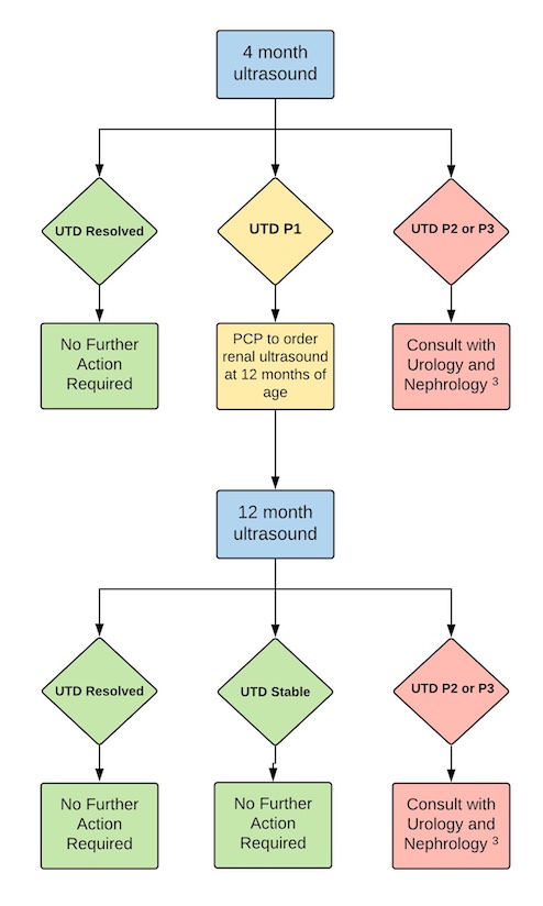 Pediatric Urinary Tract Dilation Care Process Guideline